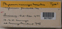 Image Associated With the Occurence